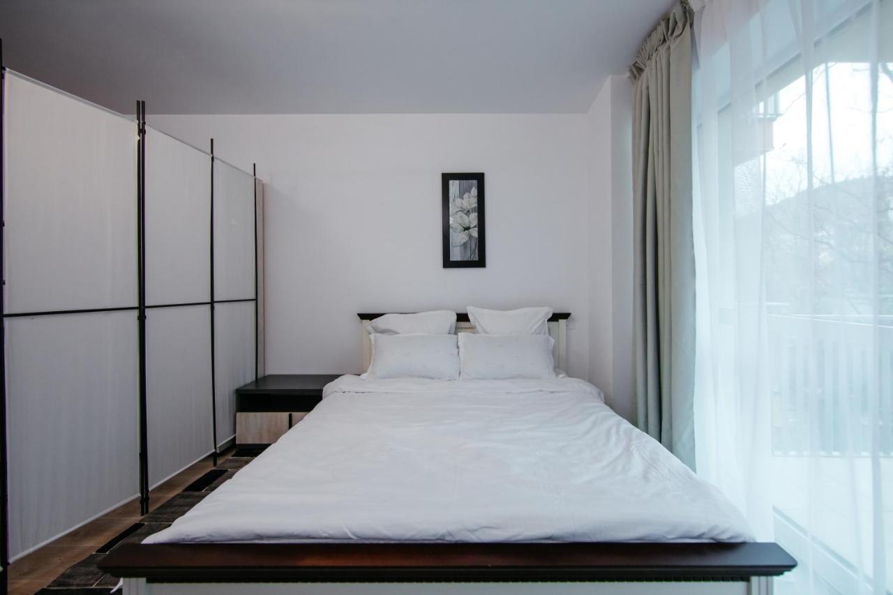 L&V Family Studio Apartment ซินายา ภายนอก รูปภาพ